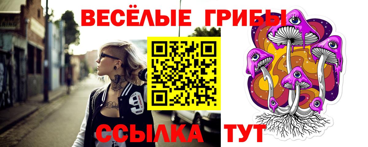 Псилоцибиновые грибы Psilocybine cubensis  как найти закладки  Новокубанск  Вход с VPN 